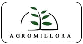 Agromillora